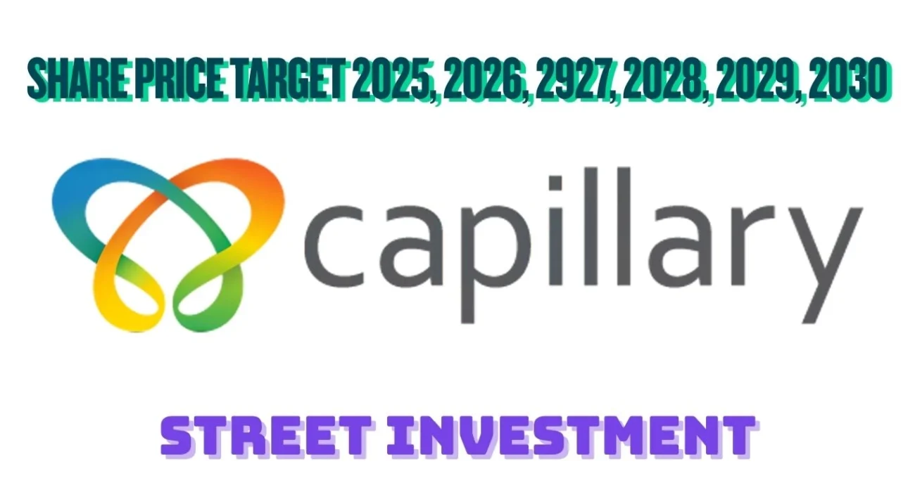 Capillary Technologies Share Price Target