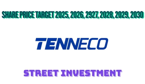 Tenneco Clean Air India Ltd Share Price Target